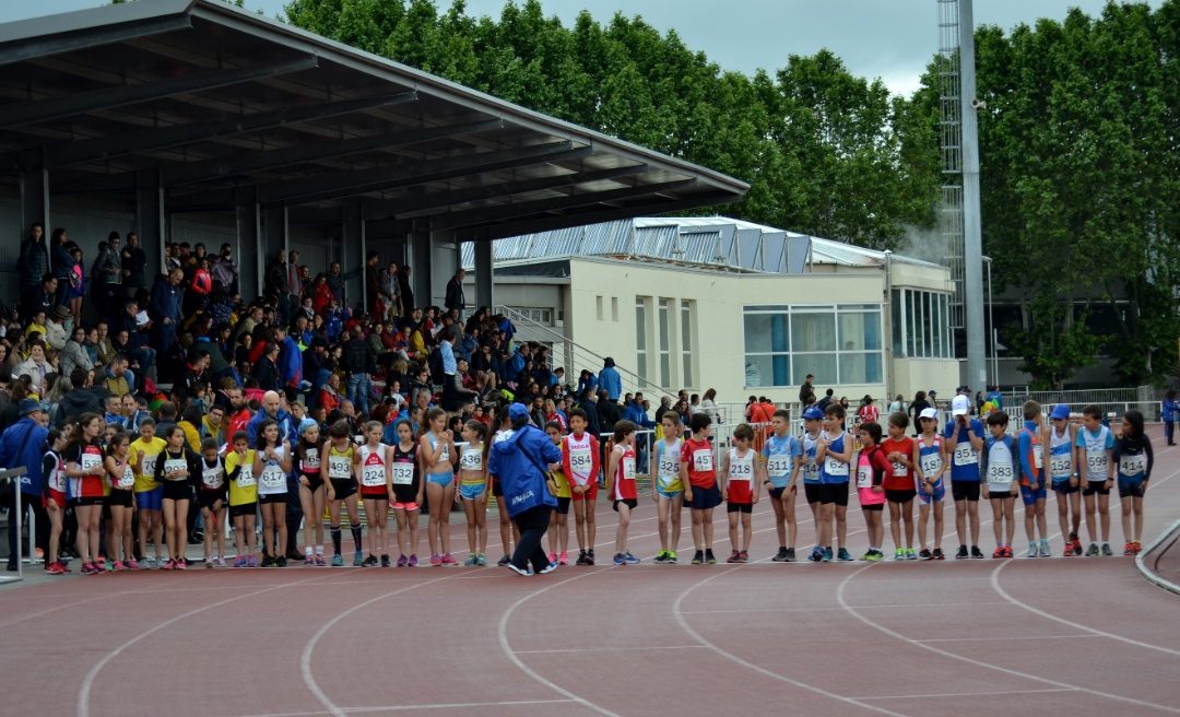 Campionato de Galicia sub 10- sub12- sub14