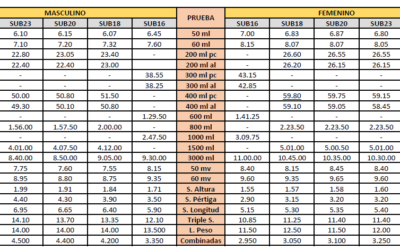 Publicadas las mínimas para los Campeonatos de España de PC